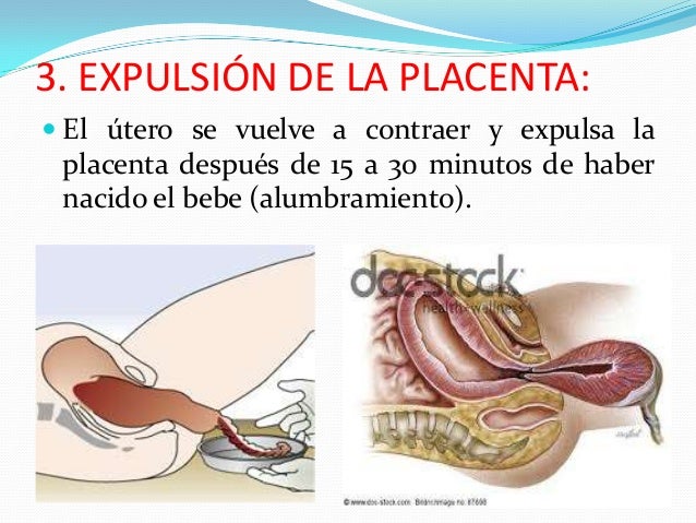 El alcoholismo que pasa con el organismo del vídeo