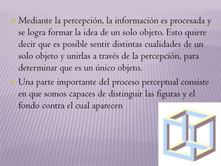 Mediante la percepción, la información es procesada y se logra formar la idea de un solo objeto. Esto quiere decir que es posible sentir distintas cualidades de un solo objeto y unirlas a través de la percepción, para determinar que es un único objeto.Una parte importante del proceso perceptual consiste en que somos capaces de distinguir las figuras y el fondo contra el cual aparecen