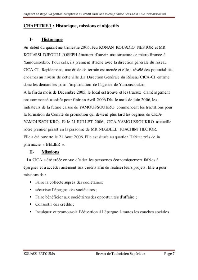 La Gestion Comptable Du Credit Dans Une Micro Finance Cas De La Cica