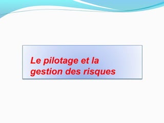 Le pilotage et la
gestion des risques
 