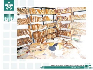 SENA, más
 