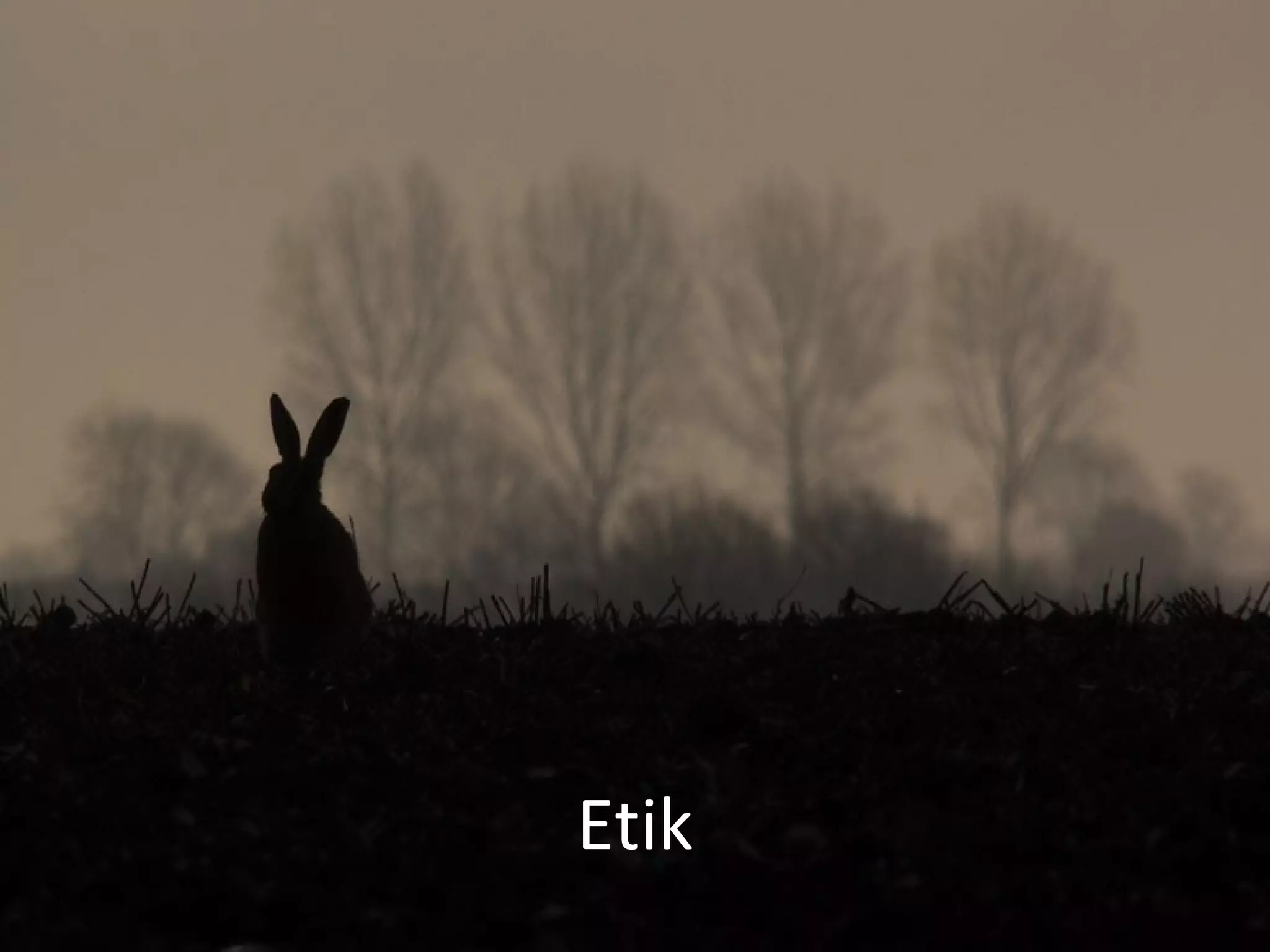 Etik
 