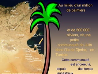 Au milieu d’un million  de palmiers  et de 500 000  oliviers, vit une  petite  communauté de Juifs dans l’ile de Djerba,  en Tunisie.  Cette communauté  est ancrée, là, depuis  des temps ancestraux.  Elle ne compte plus aujourd'hui que  1.500 âmes (joailliers pour la plupart) parmi  les 120.000 habitants  de l’île. 