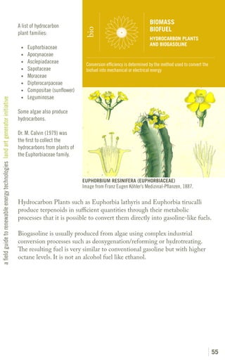 BIOMASS
                                                                               A list of hydrocarbon
                                                                                                                                                  BIOFUEL




                                                                                                               bio
                                                                               plant families:
                                                                                                                                                  HYDROCARBON PLANTS
                                                                                                                                                  AND BIOGASOLINE
                                                                                •	Euphorbiaceae
                                                                                •	Apocynaceae
                                                                                •	Asclepiadaceae
                                                                                                               Conversion efficiency is determined by the method used to convert the
                                                                                •	Sapotaceae                   biofuel into mechanical or electrical energy
                                                                                •	Moraceae
                                                                                •	Dipterocarpaceae
                                                                                •	   Compositae (sunflower)
                                                                                •	Leguminosae
a field guide to renewable energy technologies land art generator initiative




                                                                               Some algae also produce
                                                                               hydrocarbons.

                                                                               Dr. M. Calvin (1979) was
                                                                               the first to collect the
                                                                               hydrocarbons from plants of
                                                                               the Euphorbiaceae family.



                                                                                                              EUPHORBIUM RESINIFERA (EUPHORBIACEAE)
                                                                                                              Image from Franz Eugen Köhler’s Medizinal-Pflanzen, 1887.

                                                                               Hydrocarbon Plants such as Euphorbia lathyris and Euphorbia tirucalli
                                                                               produce terpenoids in sufficient quantities through their metabolic
                                                                               processes that it is possible to convert them directly into gasoline-like fuels.

                                                                               Biogasoline is usually produced from algae using complex industrial
                                                                               conversion processes such as deoxygenation/reforming or hydrotreating.
                                                                               The resulting fuel is very similar to conventional gasoline but with higher
                                                                               octane levels. It is not an alcohol fuel like ethanol.




                                                                                                                                                                                       55
 
