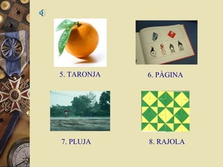 5. TARONJA

6. PÀGINA

7. PLUJA

8. RAJOLA

 