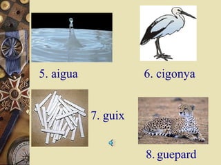 5. aigua

6. cigonya
7. guix
8. guepard

 