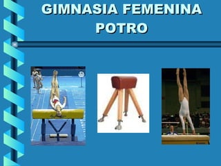 GIMNASIA FEMENINA POTRO 