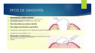 TIPOS DE GINGIVITIS 
 Inducida por placa dental 
 También por no lavarse los dientes 
 No inducidas por placa dental 
 De origen bacteriano específico 
 Lesiones asociadas con Neisseria gonorrhoeae 
 Lesiones asociadas con Treponema pálidum 
 Lesiones asociadas a especies streptocócicas 
 Otros 
 