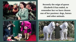 Recently the reign of queen
Elizabeth II has ended, to
remember her we have chosen
one of her passions: dogs, horses
and other animals.
 