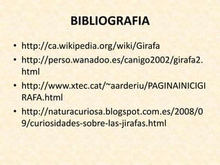 BIBLIOGRAFIA
• http://ca.wikipedia.org/wiki/Girafa
• http://perso.wanadoo.es/canigo2002/girafa2.
  html
• http://www.xtec.cat/~aarderiu/PAGINAINICIGI
  RAFA.html
• http://naturacuriosa.blogspot.com.es/2008/0
  9/curiosidades-sobre-las-jirafas.html
 