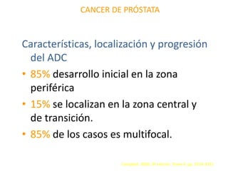 CANCER DE PRÓSTATA
Características, localización y progresión
del ADC
• 85% desarrollo inicial en la zona
periférica
• 15% se localizan en la zona central y
de transición.
• 85% de los casos es multifocal.
Campbell. 2005. 8ª edición. Tomo 4. pp. 3314-3315
 