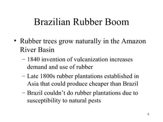 Brazilian Rubber Boom Rubber trees grow naturally in the Amazon River Basin 1840 invention of vulcanization increases demand and use of rubber Late 1800s rubber plantations established in Asia that could produce cheaper than Brazil Brazil couldn’t do rubber plantations due to susceptibility to natural pests 