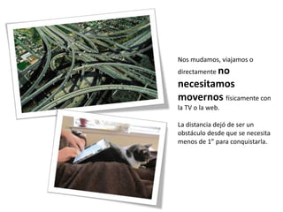 Nos mudamos, viajamos o
directamente no
necesitamos
movernos físicamente con
la TV o la web.

La distancia dejó de ser un
obstáculo desde que se necesita
menos de 1” para conquistarla.
 