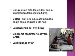 • Dengue: (en estados unidos, con la
importación del mosquito tigre).
• Cólera: en Perú, agua contaminada
de un barco originario de Asia
• La pandemia del VIH-SIDA
• Síndrome respiratorio severo, o
SARS
• La influenza aviar
 