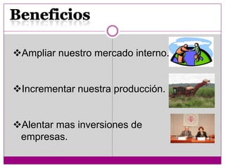Ampliar nuestro mercado interno.
Incrementar nuestra producción.
Alentar mas inversiones de
empresas.
 