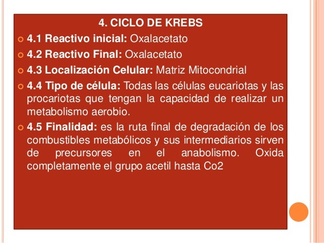 La glucolisis