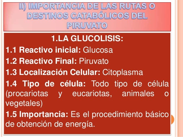 La glucolisis