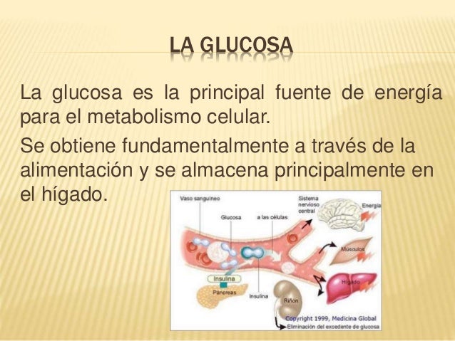 La glucosa y sacarosa La glucosa y sacarosa