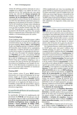 Embriologia Lagman 11 Edicion