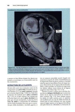 Embriologia Lagman 11 Edicion