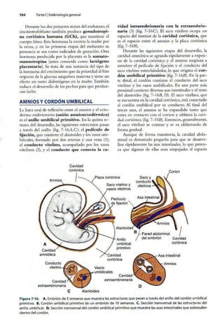Embriologia Lagman 11 Edicion