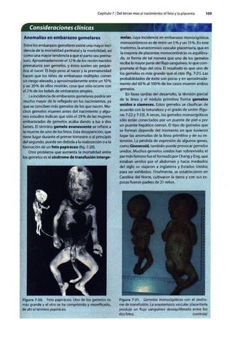 Embriologia Lagman 11 Edicion