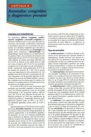 Embriologia Lagman 11 Edicion