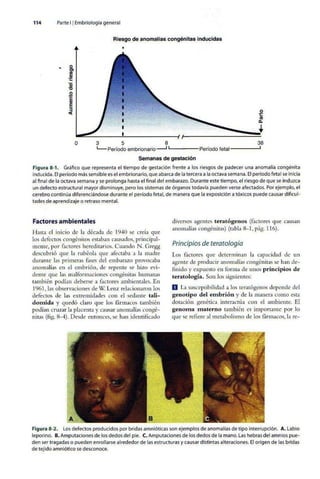 Embriologia Lagman 11 Edicion