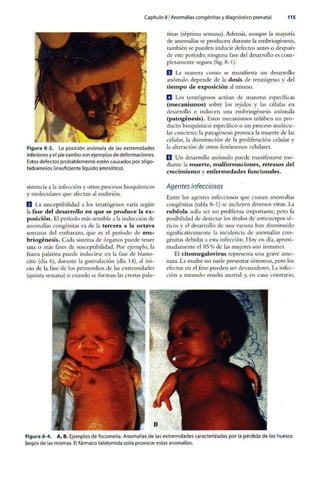 Embriologia Lagman 11 Edicion