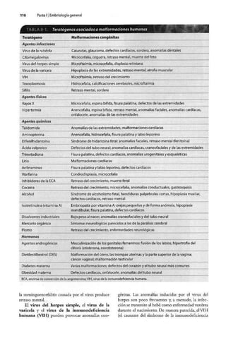 Embriologia Lagman 11 Edicion