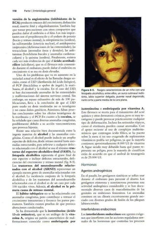 Embriologia Lagman 11 Edicion