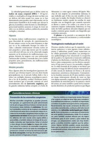 Embriologia Lagman 11 Edicion