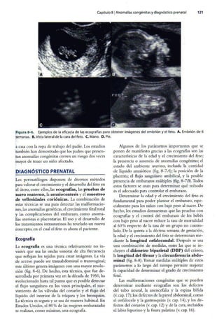 Embriologia Lagman 11 Edicion