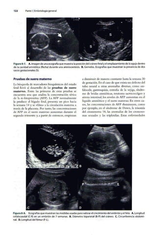 Embriologia Lagman 11 Edicion