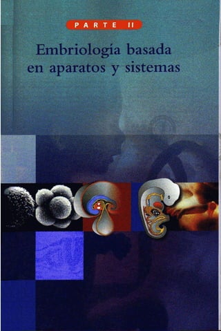 Embriologia Lagman 11 Edicion