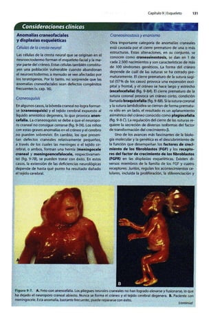 Embriologia Lagman 11 Edicion