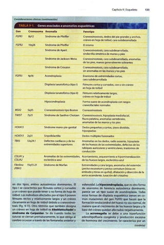 Embriologia Lagman 11 Edicion