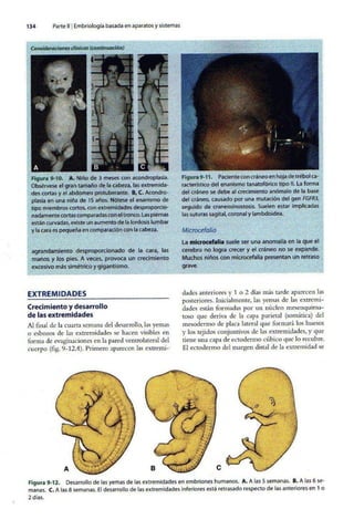 Embriologia Lagman 11 Edicion
