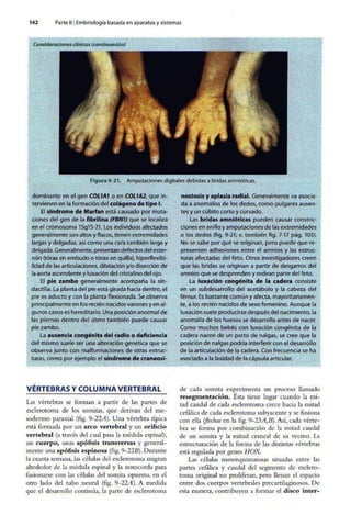 Embriologia Lagman 11 Edicion