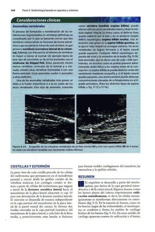 Embriologia Lagman 11 Edicion
