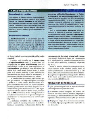 Embriologia Lagman 11 Edicion