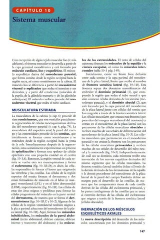 Embriologia Lagman 11 Edicion