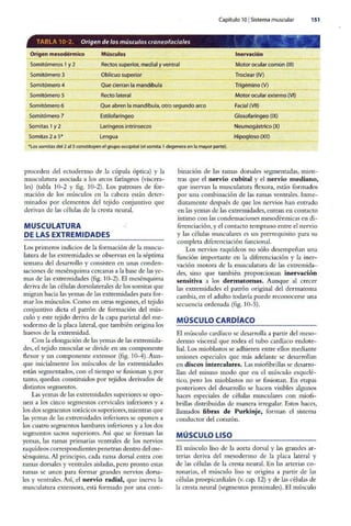 Embriologia Lagman 11 Edicion