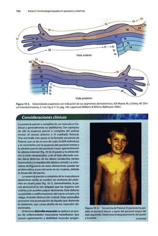 Embriologia Lagman 11 Edicion