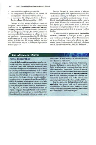 Embriologia Lagman 11 Edicion