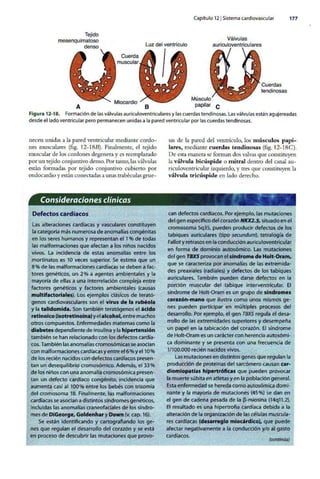 Embriologia Lagman 11 Edicion