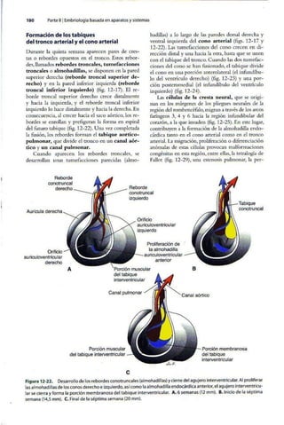 Embriologia Lagman 11 Edicion