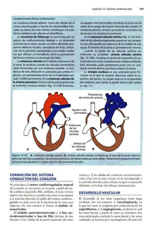 Embriologia Lagman 11 Edicion