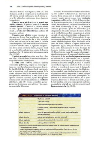 Embriologia Lagman 11 Edicion