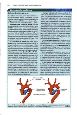 Embriologia Lagman 11 Edicion